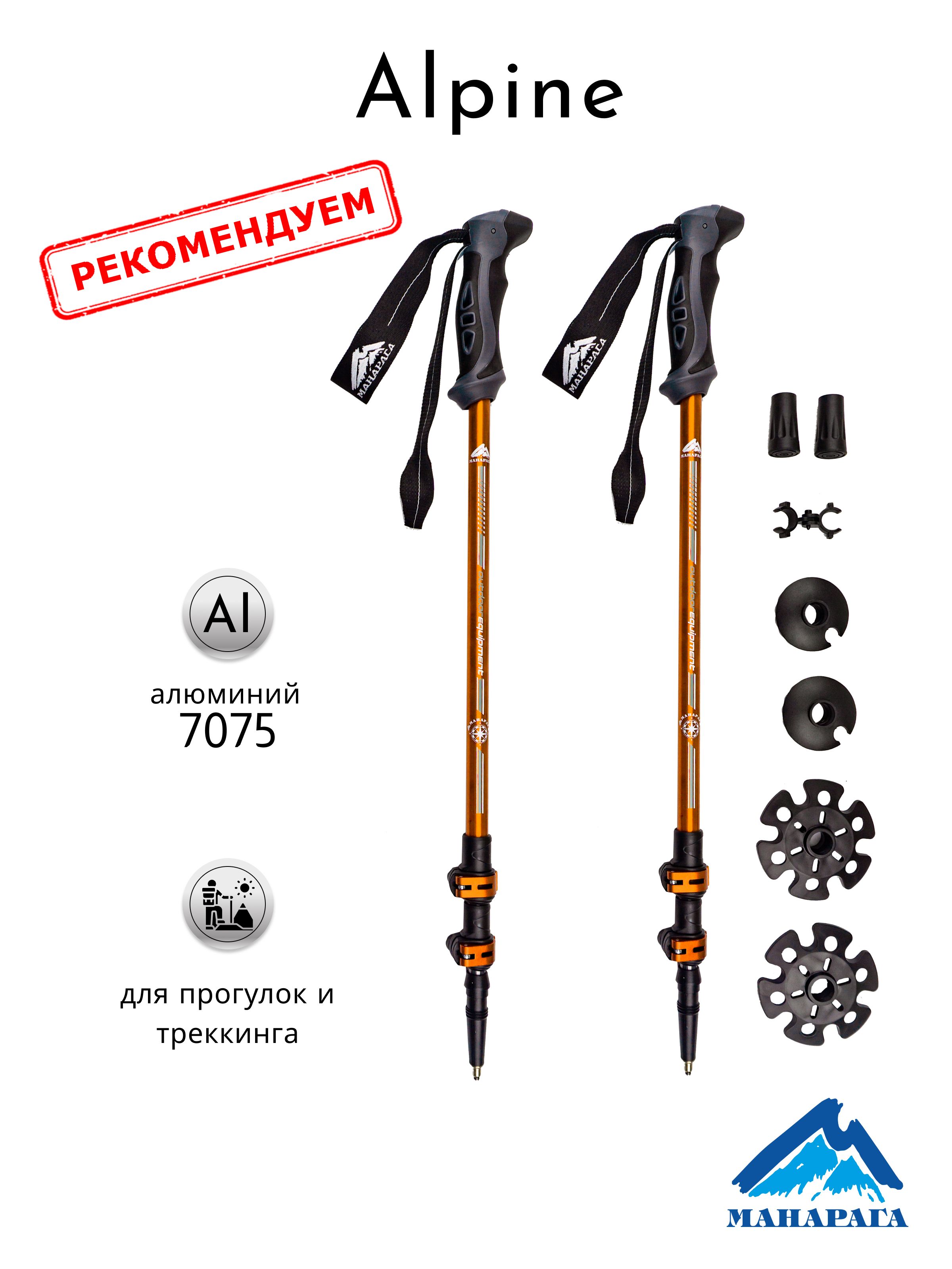 ПалкитреккинговыеМанарагаAlpine