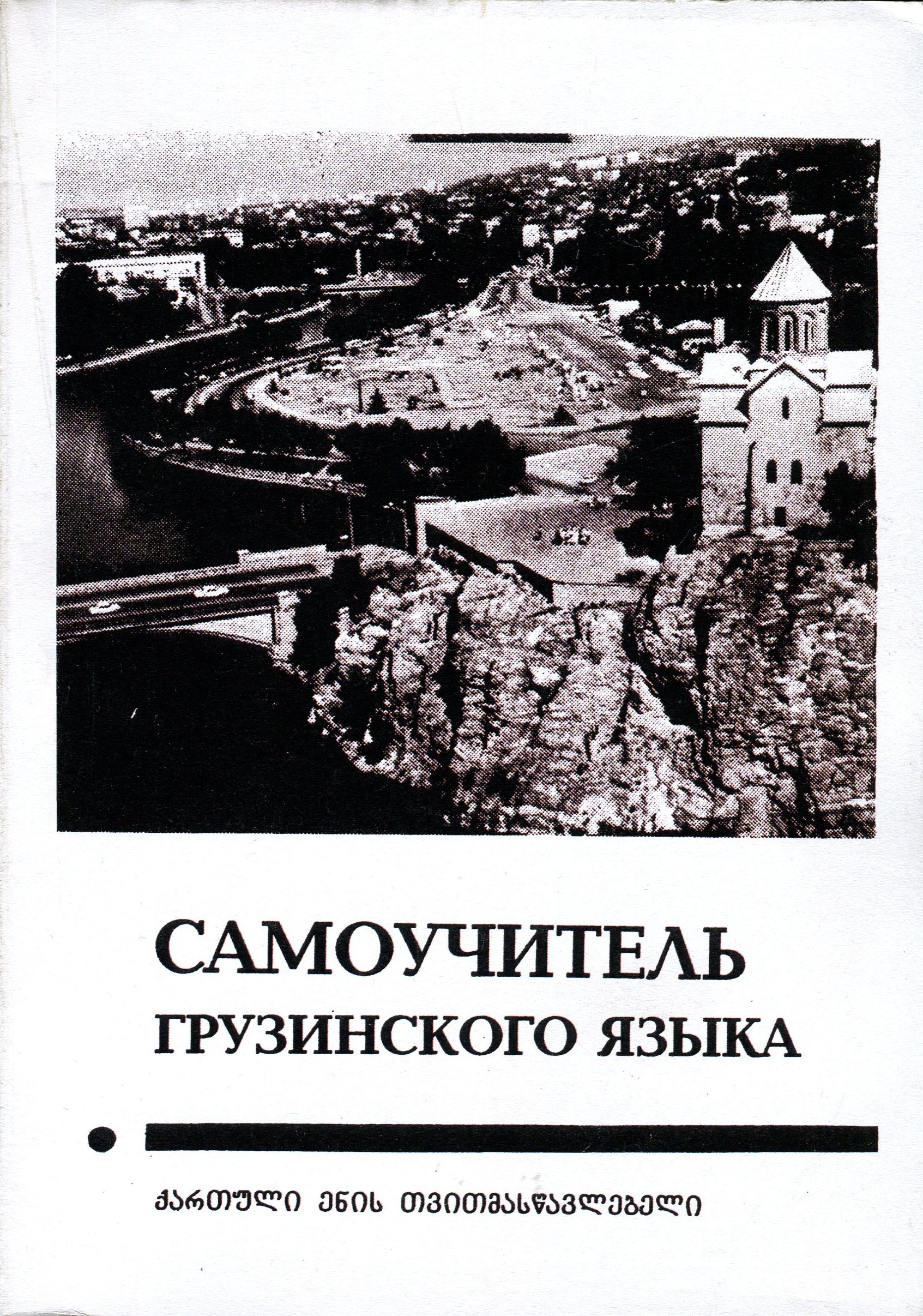 Самоучитель грузинского языка | Цибахашвили Г. И. купить на OZON