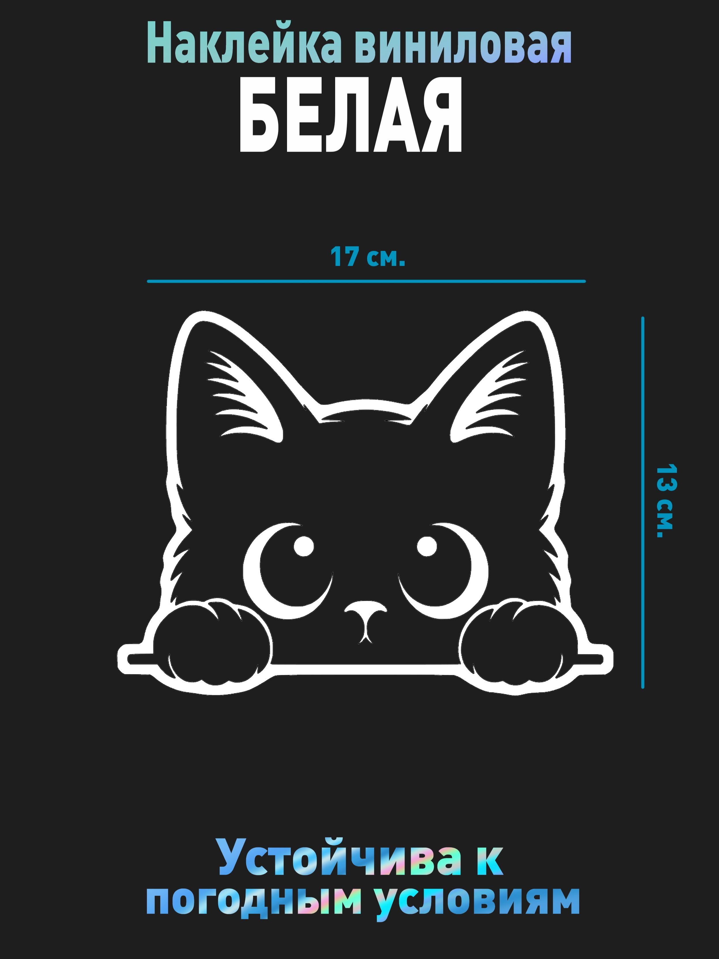 НаклейканамашинубелаяКотик(безфона)