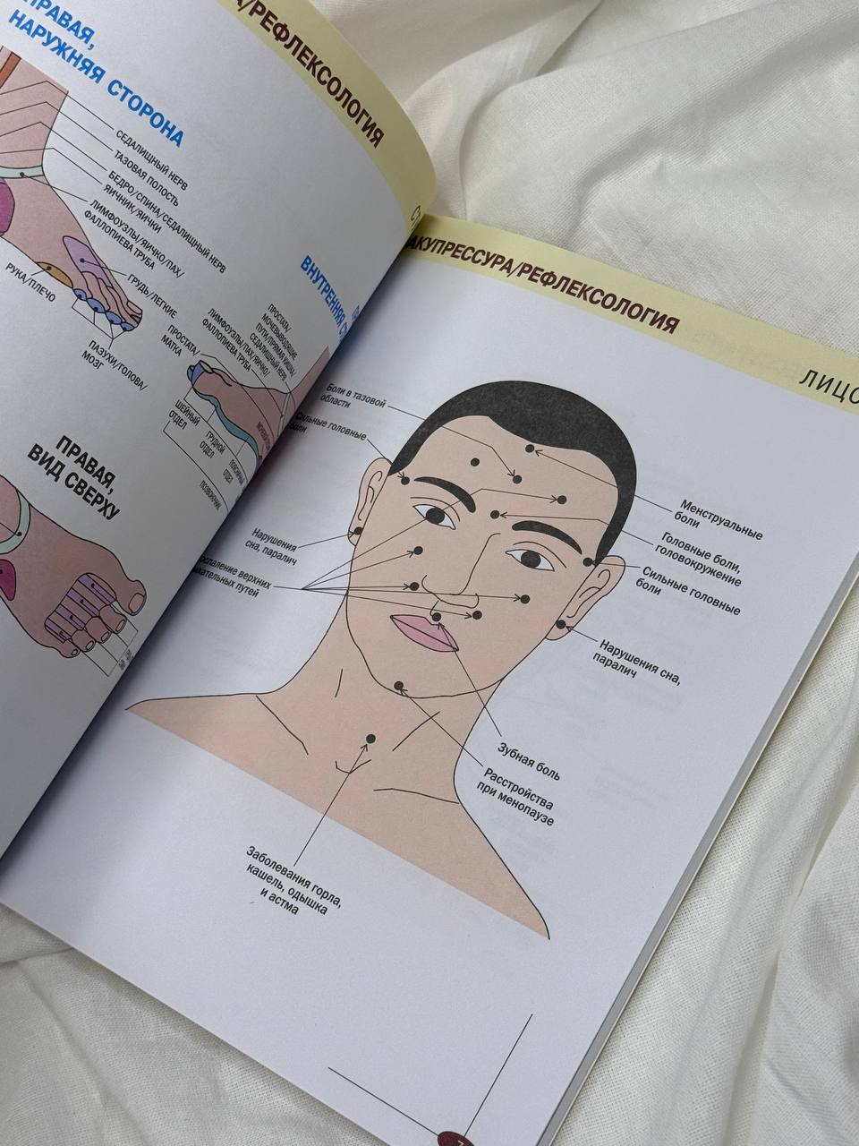 Акупрессура | Colored Atlas of Acupressure - Ozon image 3