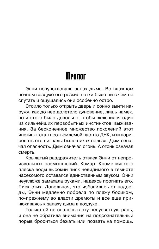 Убийства в пляжных домиках. Детективное агентство Благотворительный магазин (#2) (формат клатчбук) | The Beach Hut Murders (#2 in The Charity Shop Detective Agency series) - Ozon image 7