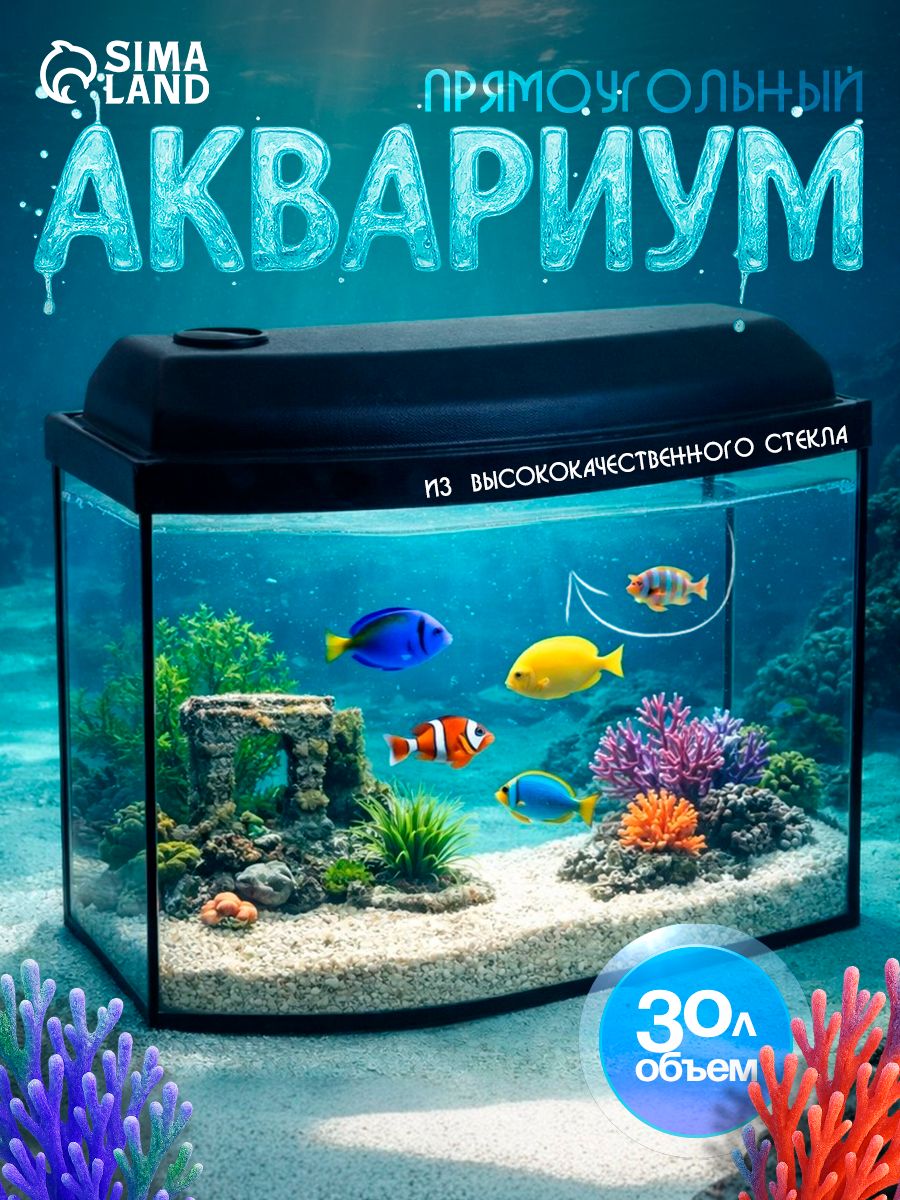 Аквариумдлярыбок,Аквариумпрямоугольныйскрышкой,30литров,46х20х33/38см