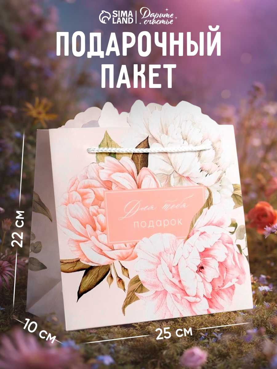 Пакет подарочный, 25 х 26 х 10 см