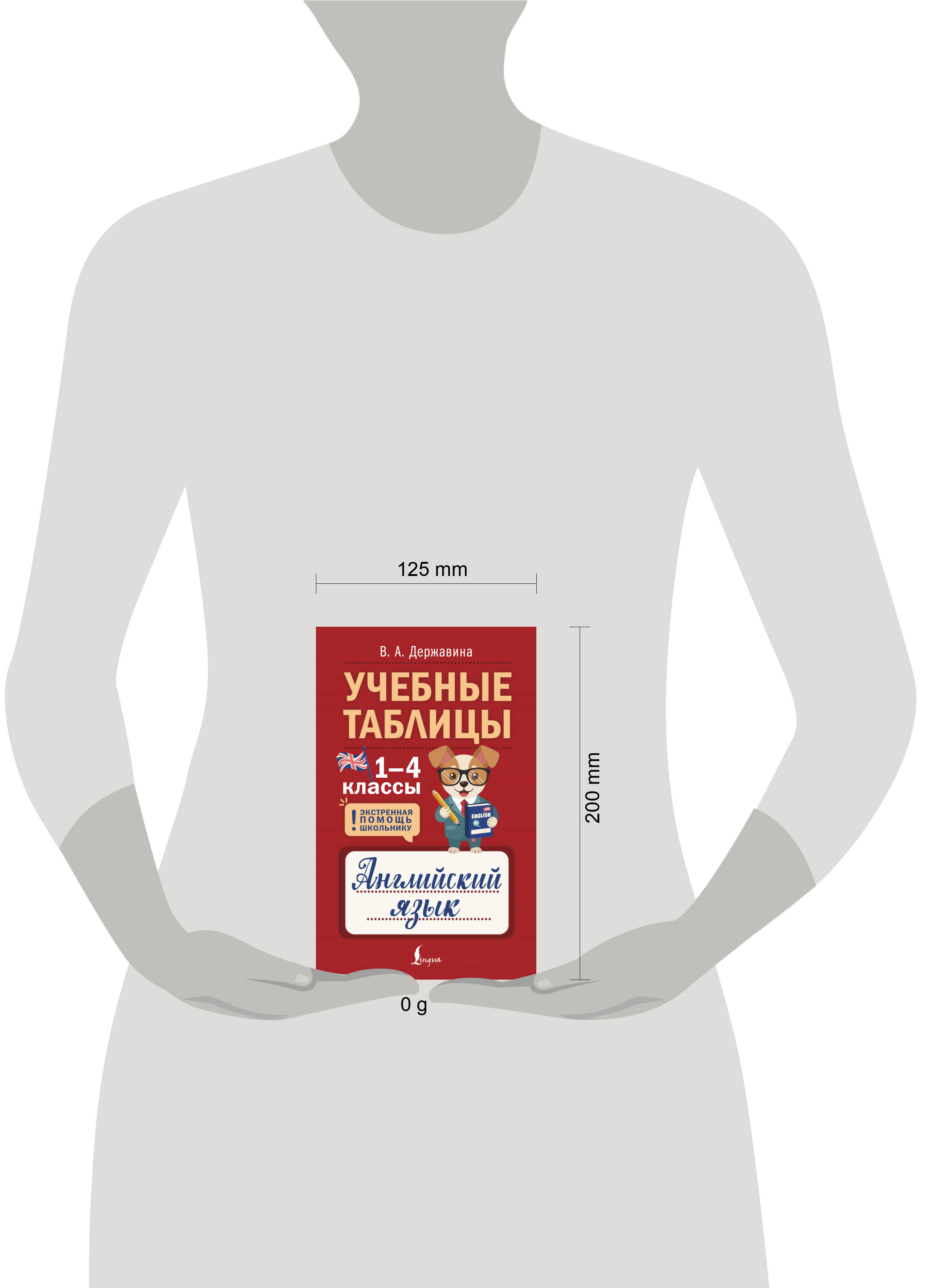 Учебные таблицы. Английский язык. 1-4 классы | Learning Tables: English Language. Grades 1-4 - Ozon image 6