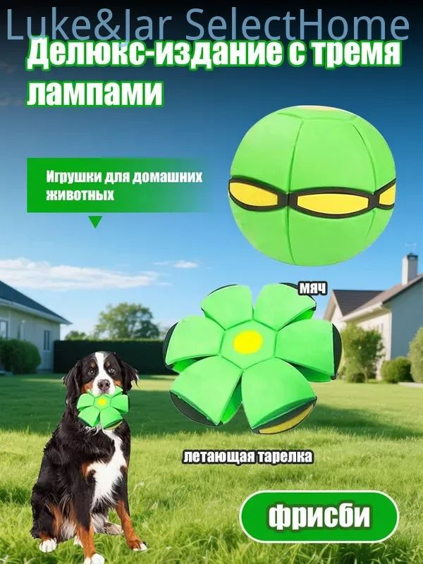 Фрисби #1