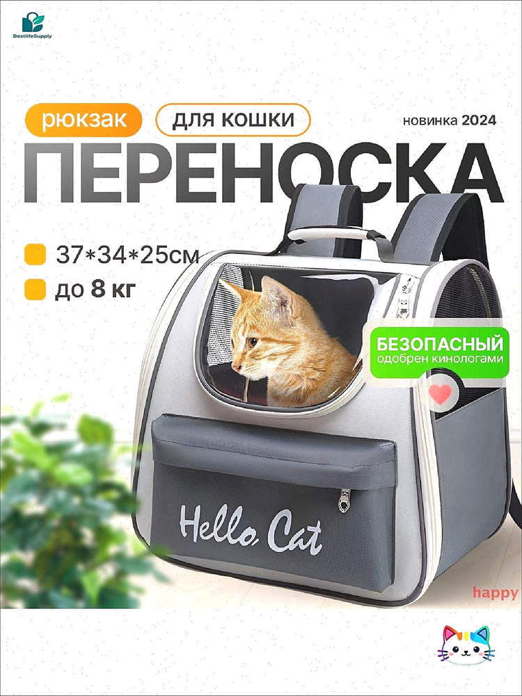 Переноска #1