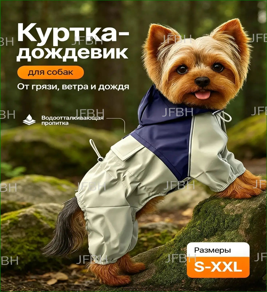 Одежда для животных #1