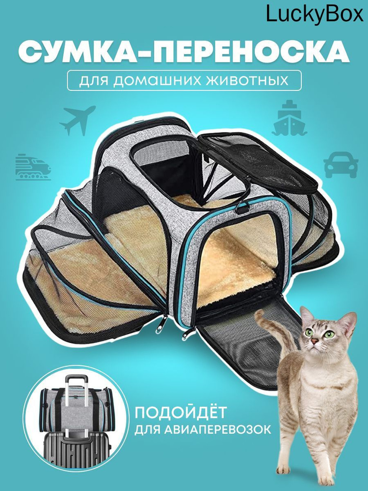 Переноска #1