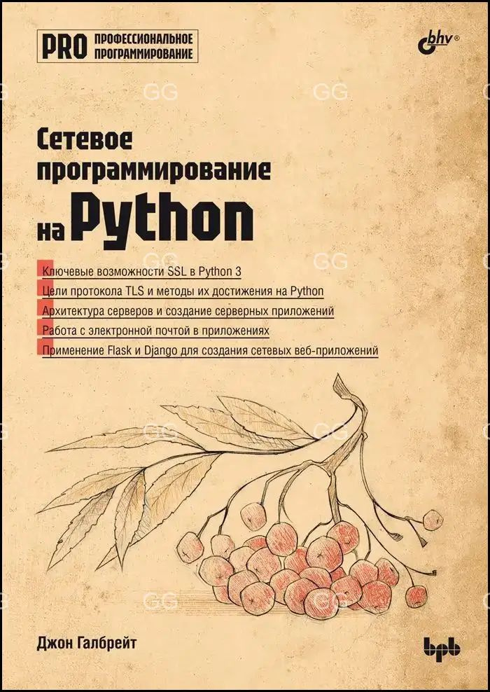 Программирование сетевых решений на Python, практикум #1