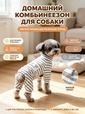 Одежда для животных #1