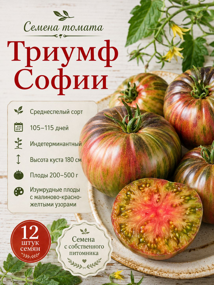 Семена томата Триумф Софии #1