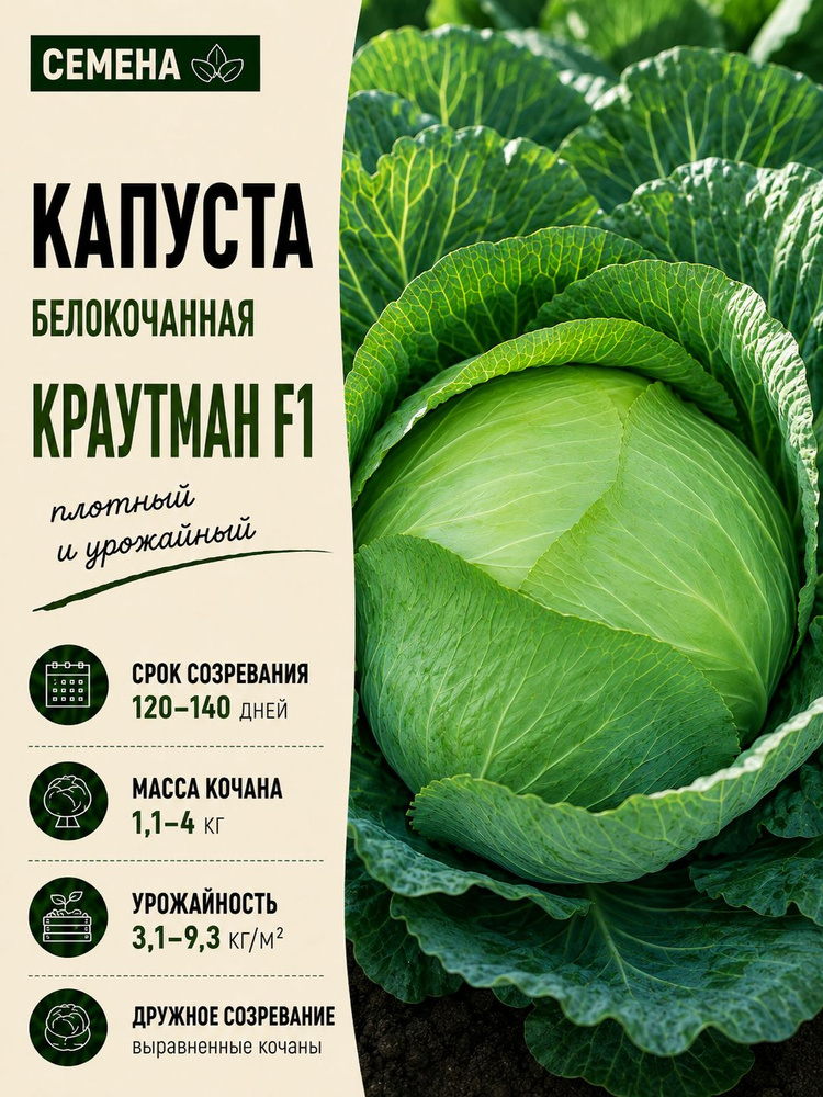 Семена ,1шт #1