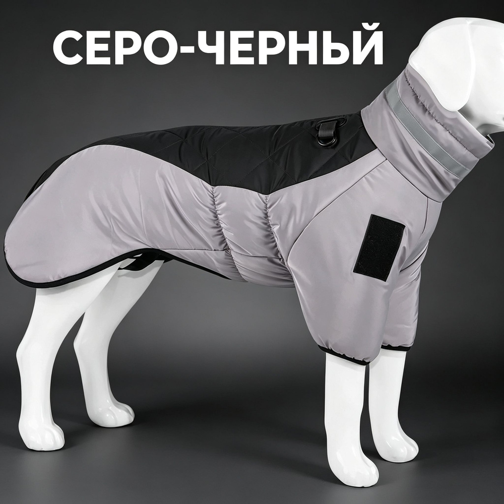 Одежда для животных #1