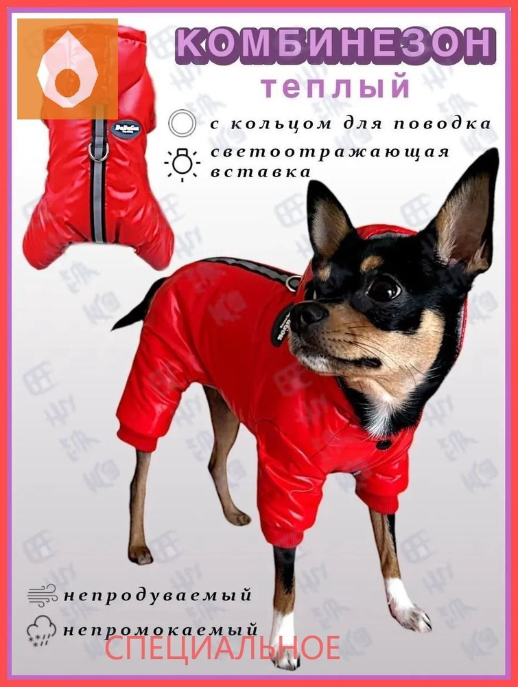 Одежда для животных #1