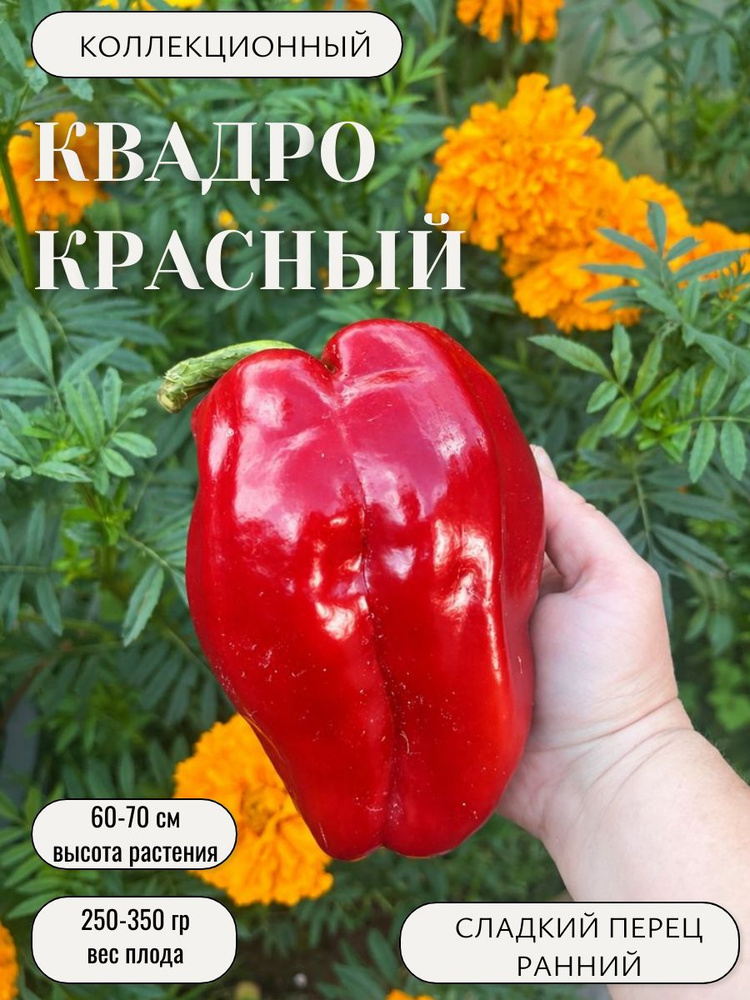 Семена #1