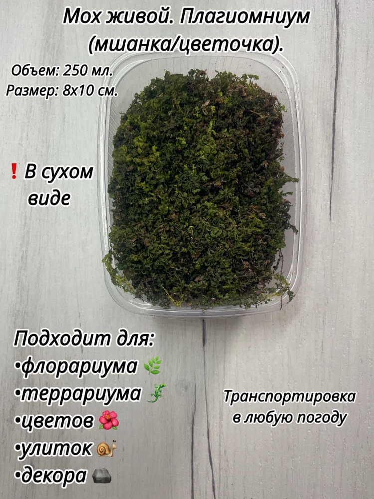 Мох для улиток #1