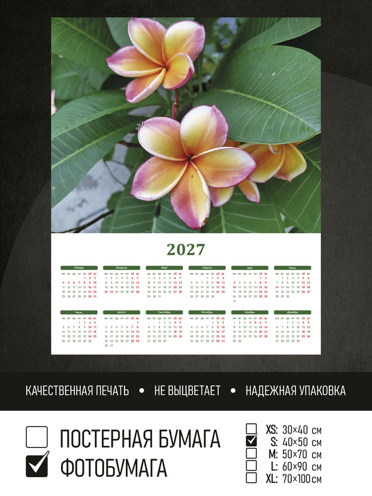 Календарь 2027 Тропический цветок плюмерия, фотобумага 40х50 см ПолиЦентр #1