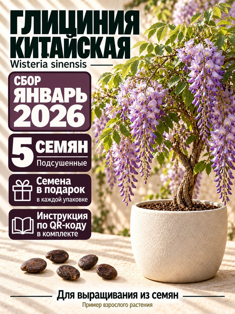 Семена ,5шт #1