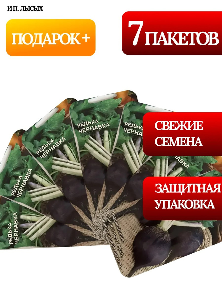 Семена Редька "Чернавка" #1