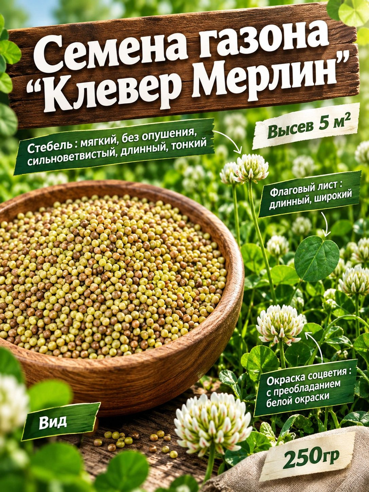 Семена #1