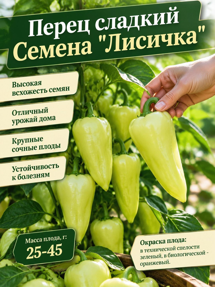 Семена ,10шт #1