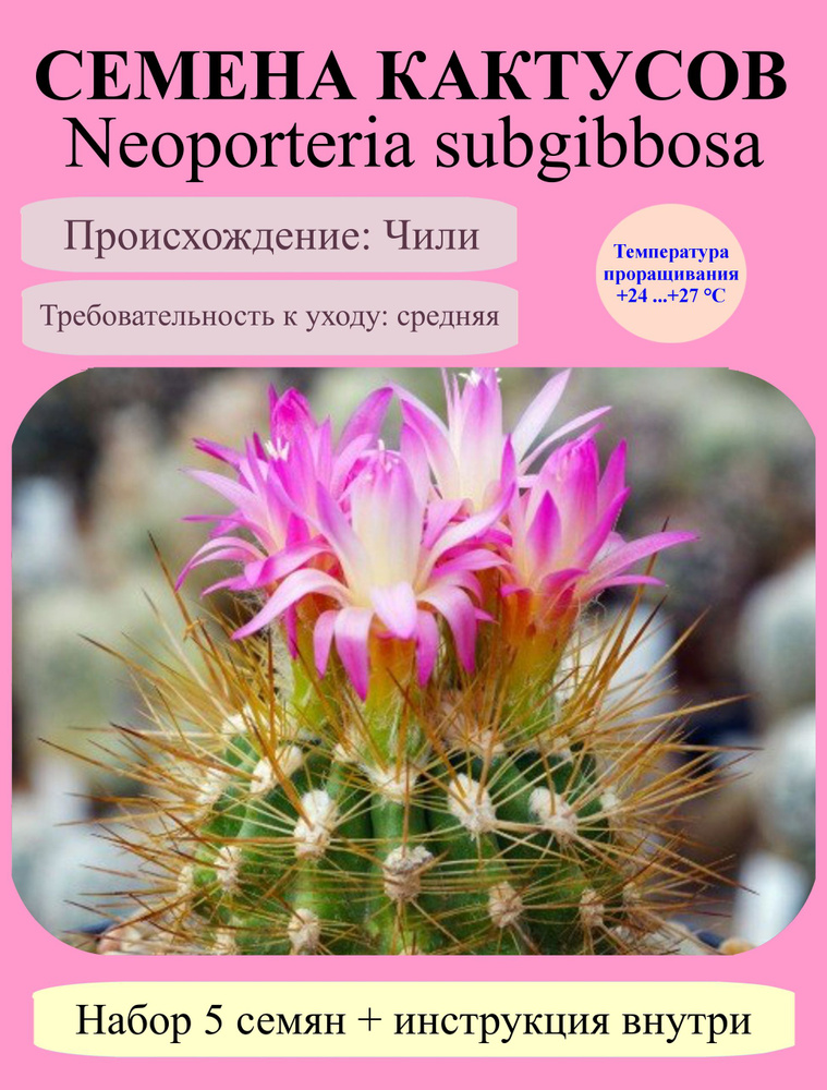 Семена #1