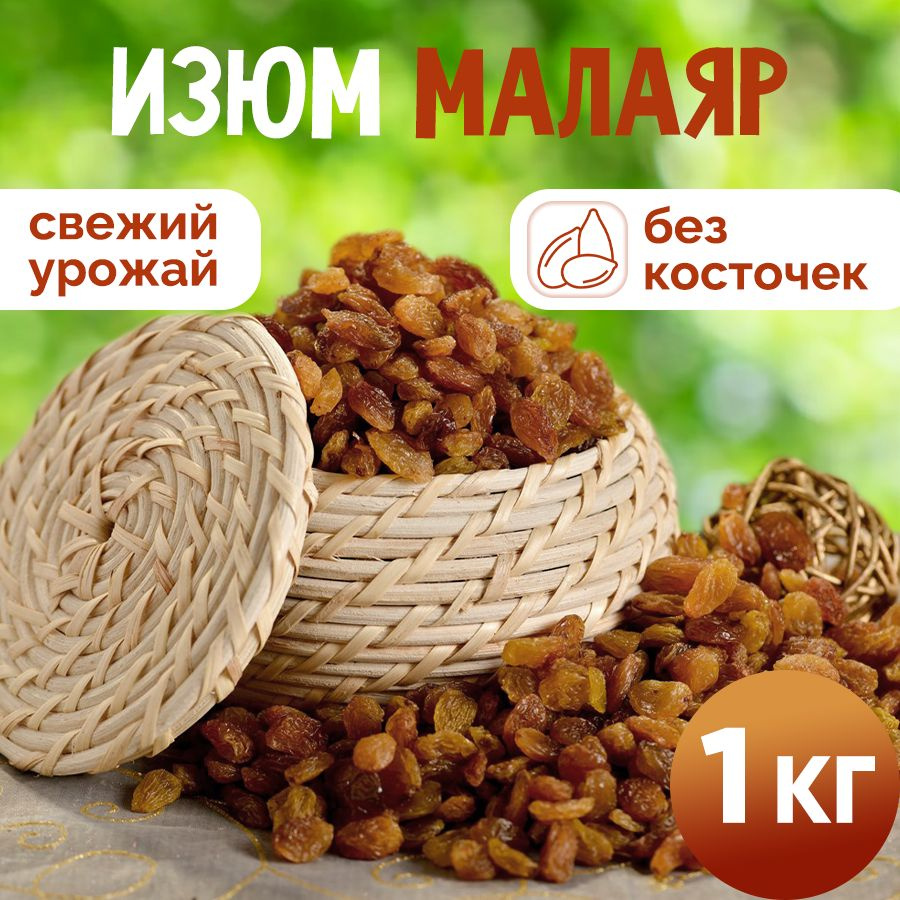 Изюм Малаяр 1 кг, Nuts4U, сухофрукты натуральные без сахара - купить с  доставкой по выгодным ценам в интернет-магазине OZON (1160486053)