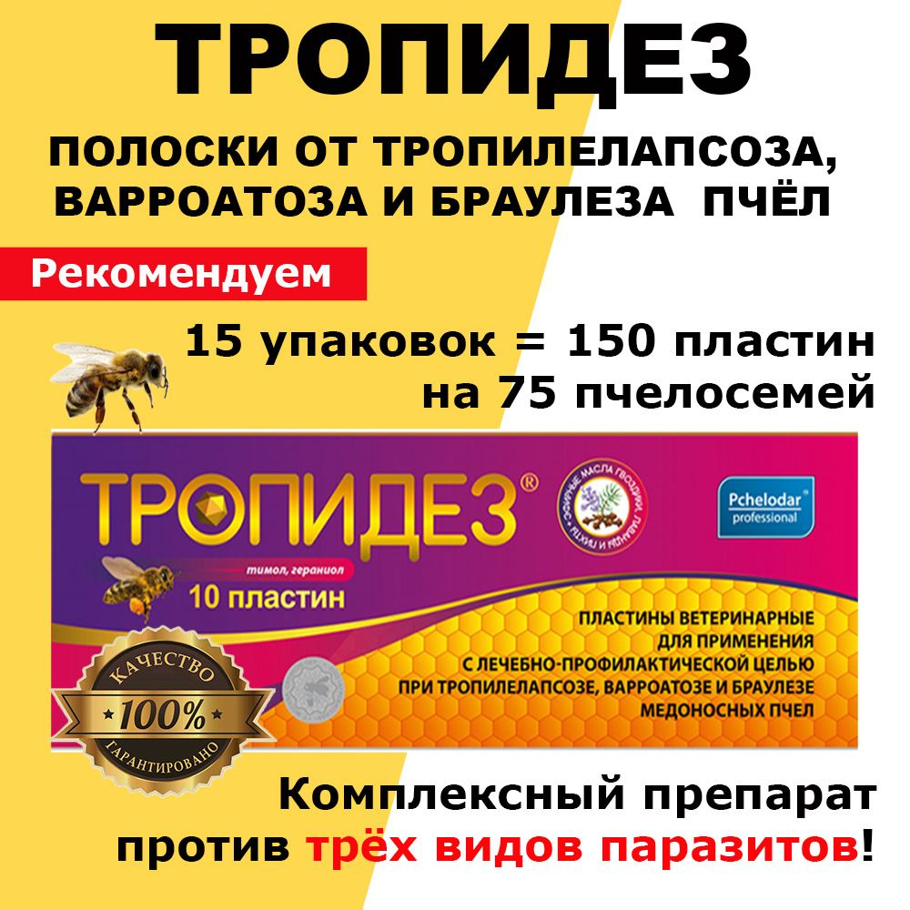 15 упаковок Тропидез полоски от варроатоза и акарапидоза пчёл / пластины от клещей / 150 пластин  #1