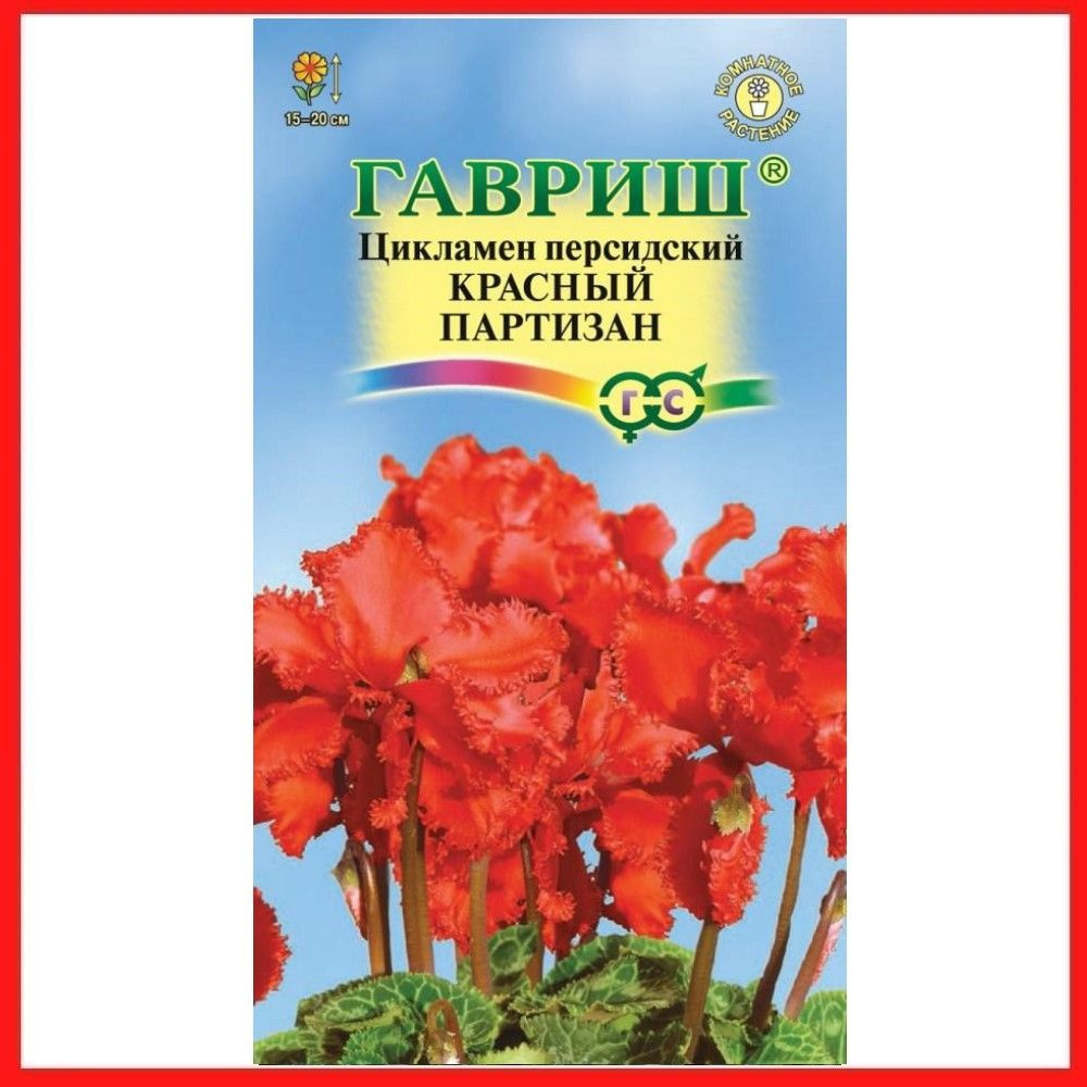 Семена Цикламен персидский "Красный партизан", 3 шт, многолетние цветы, комнатные растения, для дома, #1
