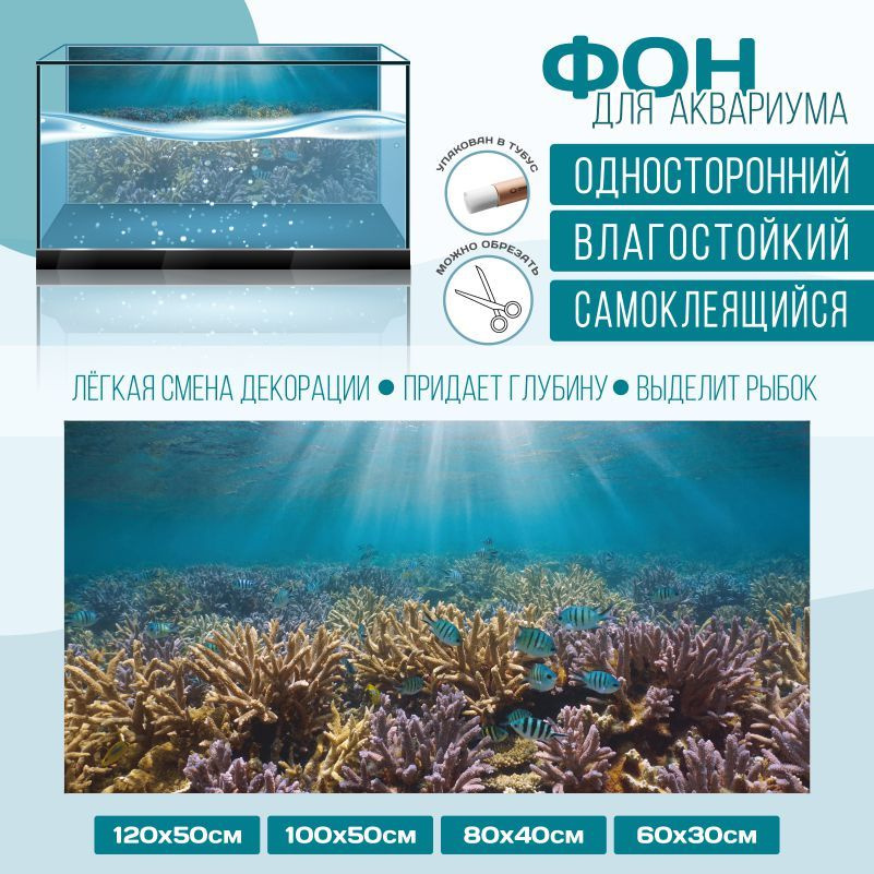 Фон для аквариума мир под водой тип 60 600х300 мм односторонний ПолиЦентр #1