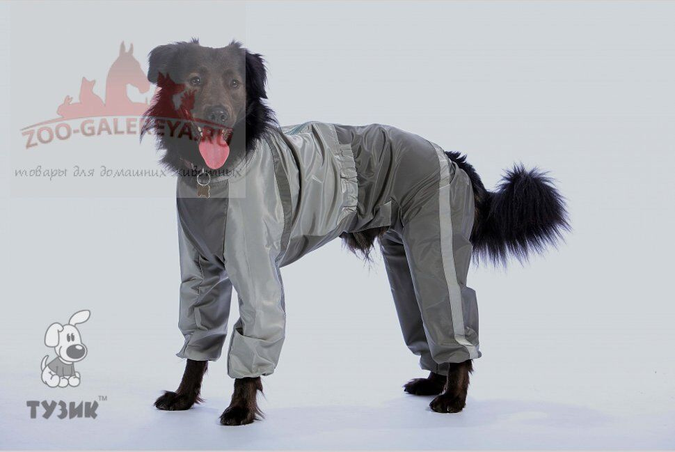ТУЗИК комбинезон холодный для породы немецкая овчарка кобель - купить с ...