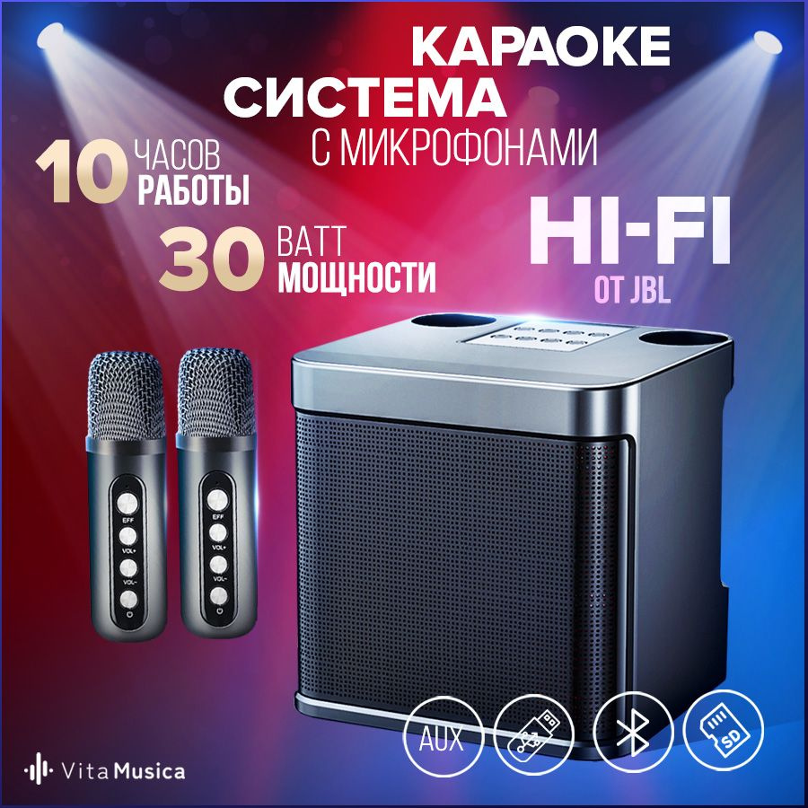 Караоке система для дома с двумя микрофонами Vita Musica - купить с  доставкой по выгодным ценам в интернет-магазине OZON (1281268281)