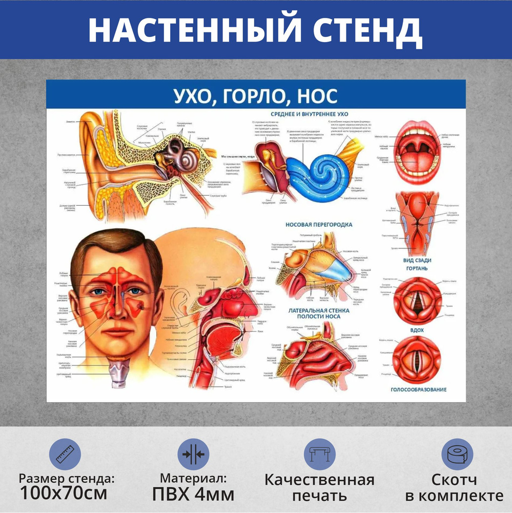 Информационный стенд медицинский 