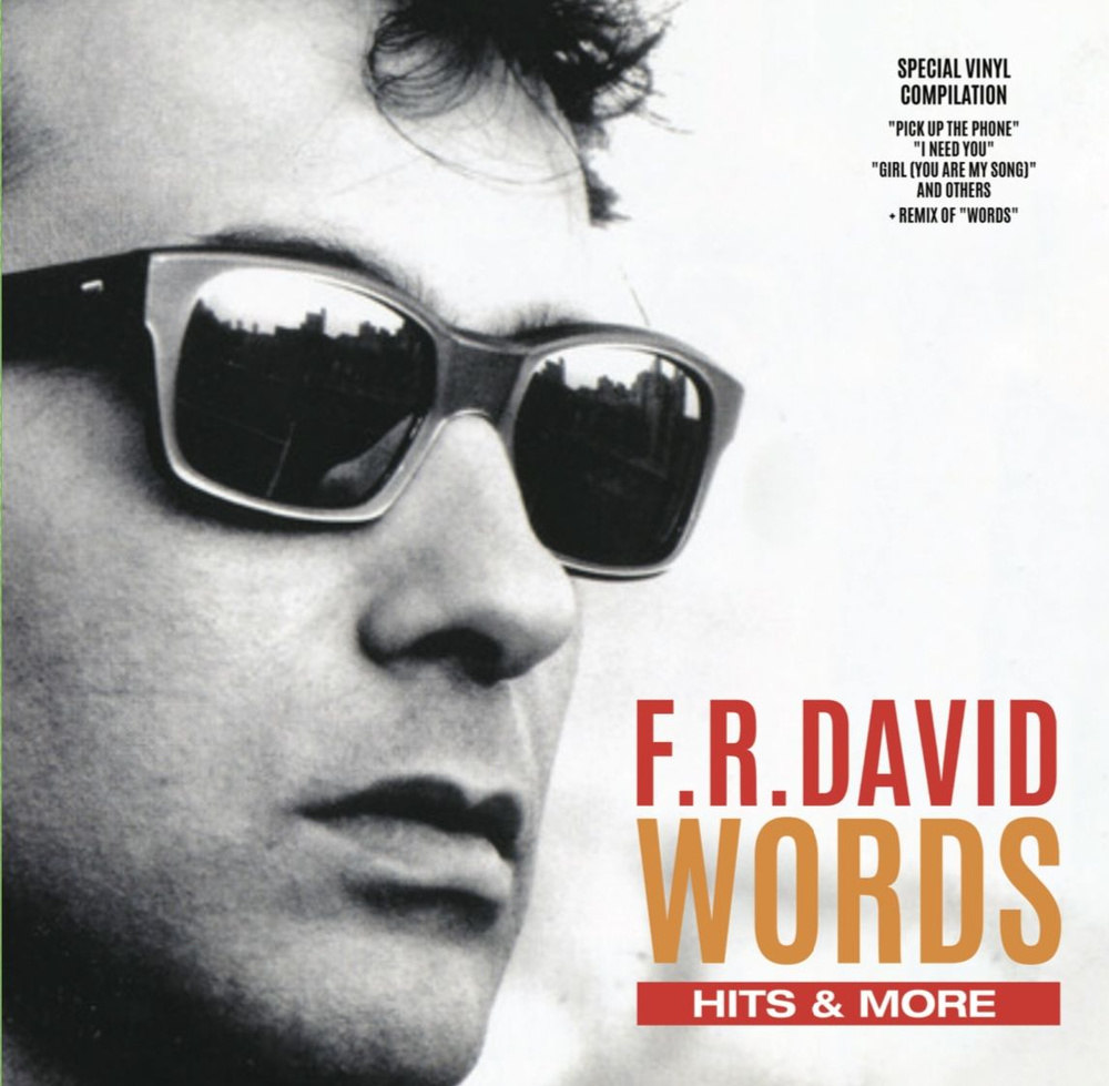 Виниловая пластинка F.R. David. Words - Hits & More (LP) - купить с  доставкой по выгодным ценам в интернет-магазине OZON (1547885457)