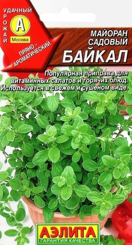 Семена Майоран садовый Байкал (0,1 г) - Агрофирма Аэлита #1