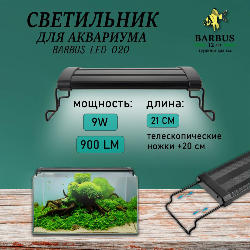 21 41 BARBUS 21-41-barbus