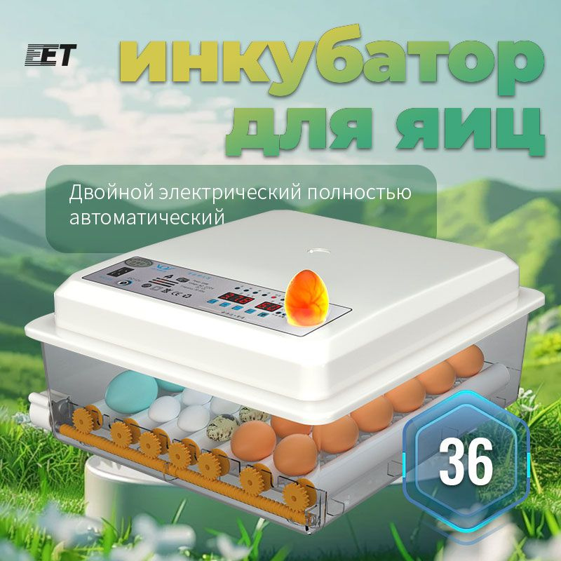 Инкубатор для яиц автоматический терморегулятором, гигрометром ...