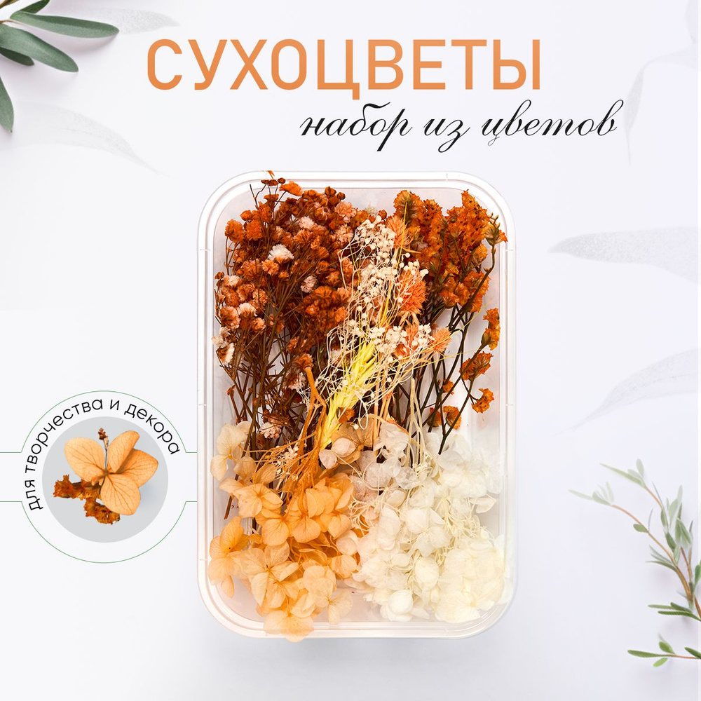 Сухоцветы, 40 гр #1