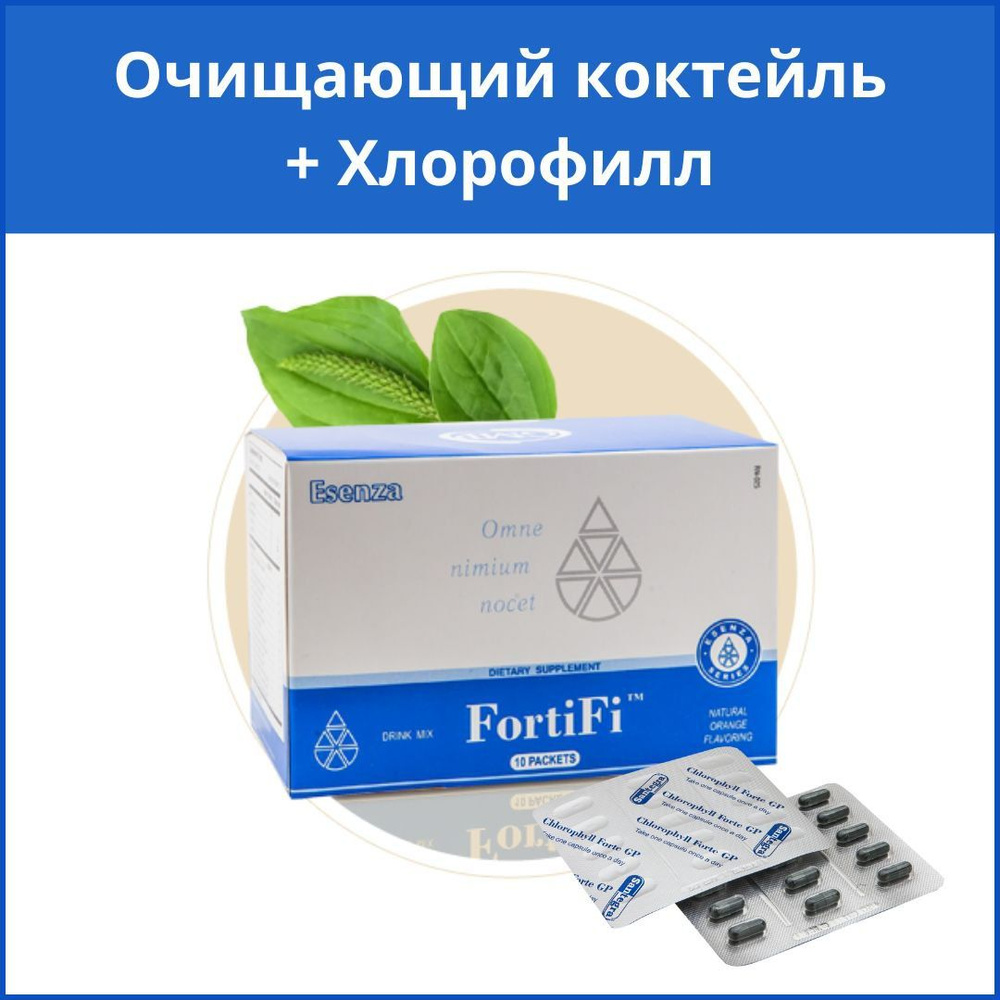 ФортиФай Santegra , клетчатка подорожника + травы , очистка кишечника ,  снижение веса и холестерина , пребиотик , 14 пакетиков , Сантегра - купить  с доставкой по выгодным ценам в интернет-магазине OZON (231709421)