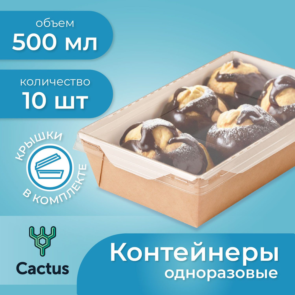 Контейнер одноразовый (10 предметов) Cactus - купить по выгодной цене в  интернет-магазине OZON (263773294)