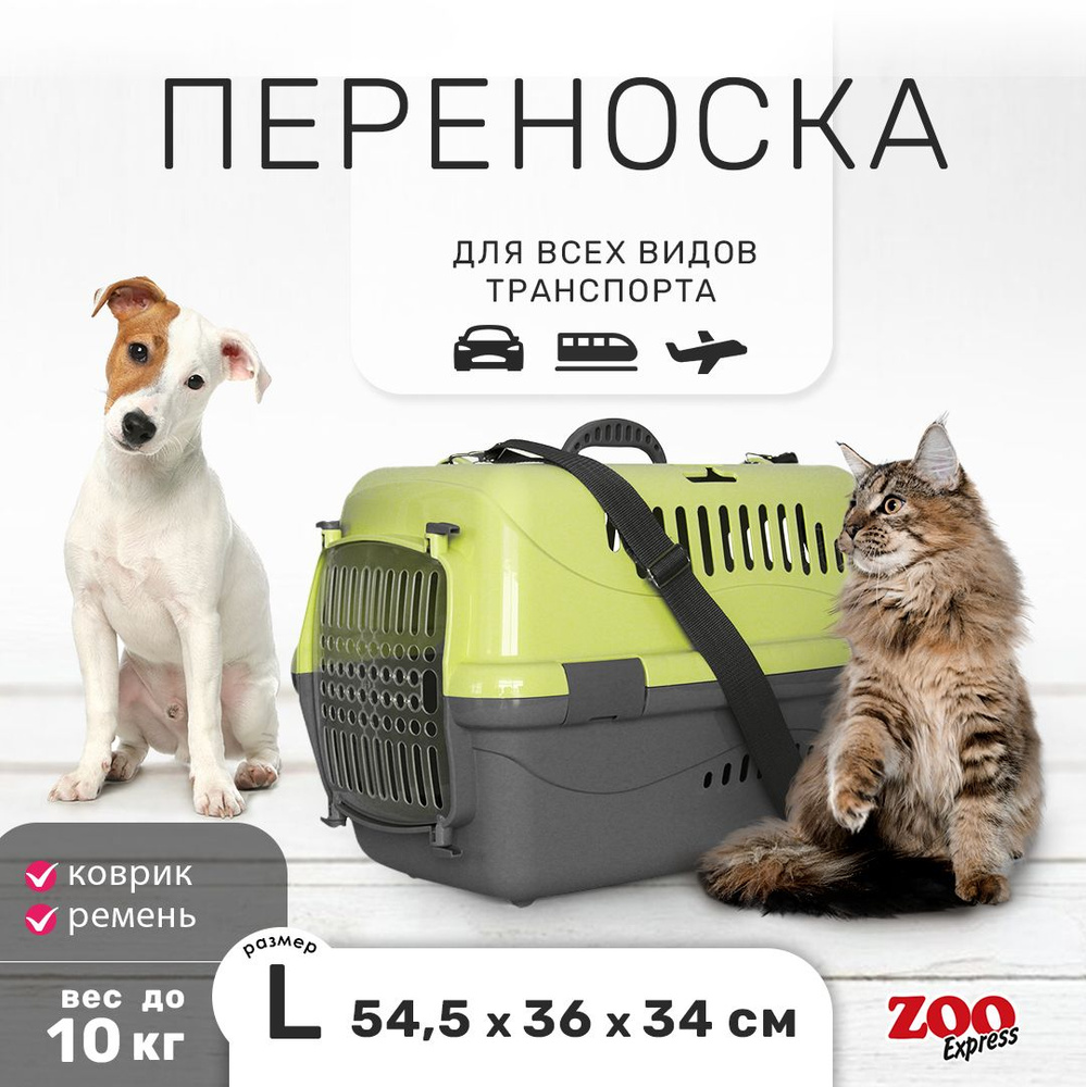 Клиппер-переноска для кошек и собак ZOOexpress Турне 54,5х36х34 см (L), с прозрачной дверцей, КОВРИК #1