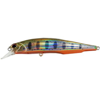 Воблер DUO Realis Jerkbait 120SP #ANAZ072 (120мм / 18г) #1