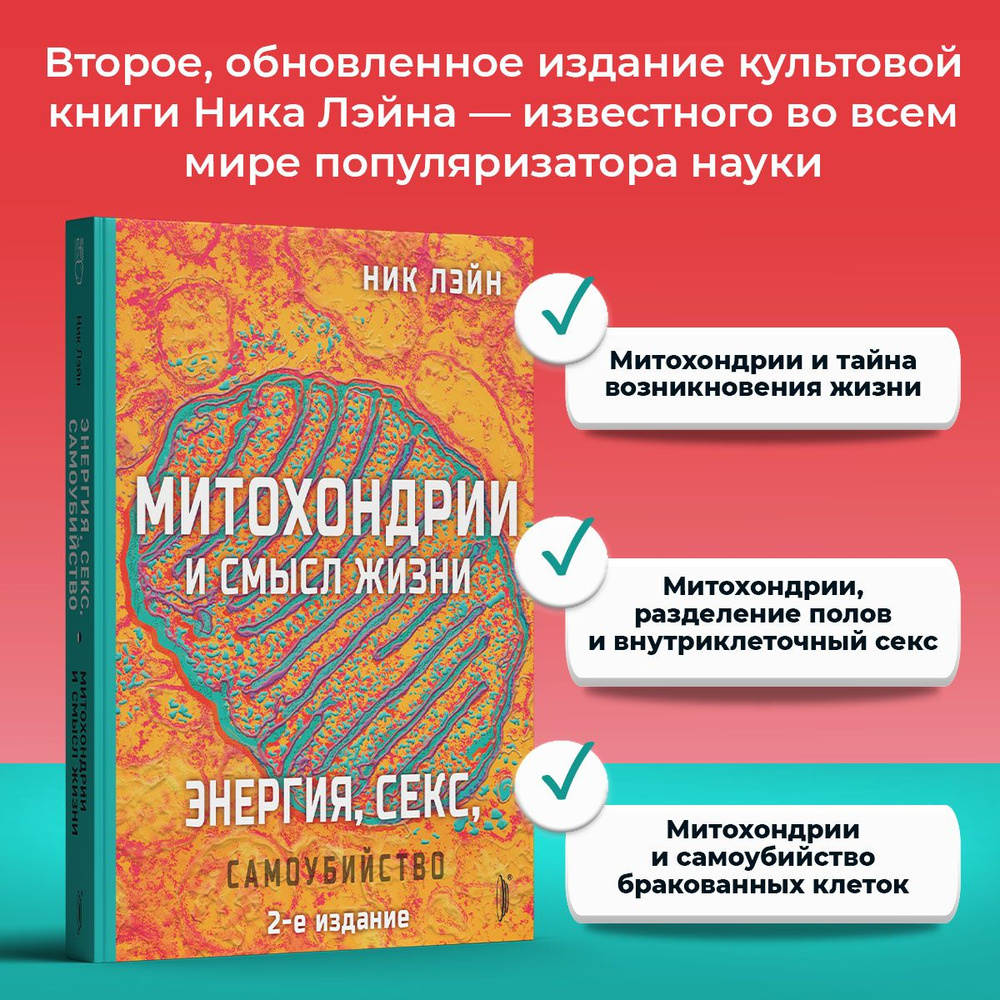 Привет я николя порно порно видео. Смотреть бесплатно привет я николя порно и скачать на redballons.ru