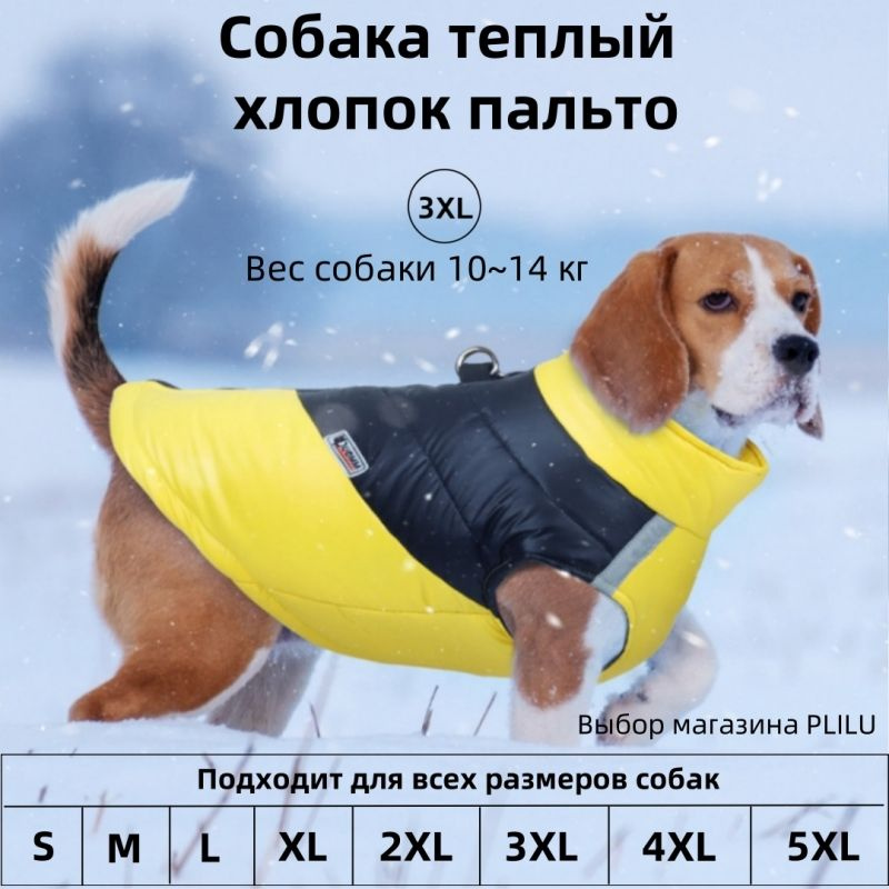 Одежда для животных #1