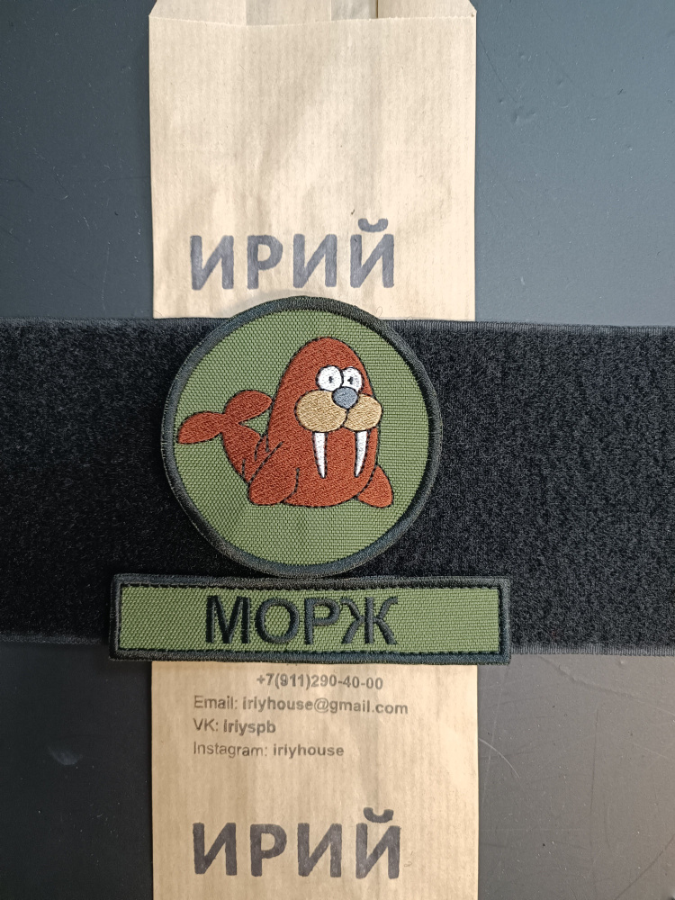 морж #1
