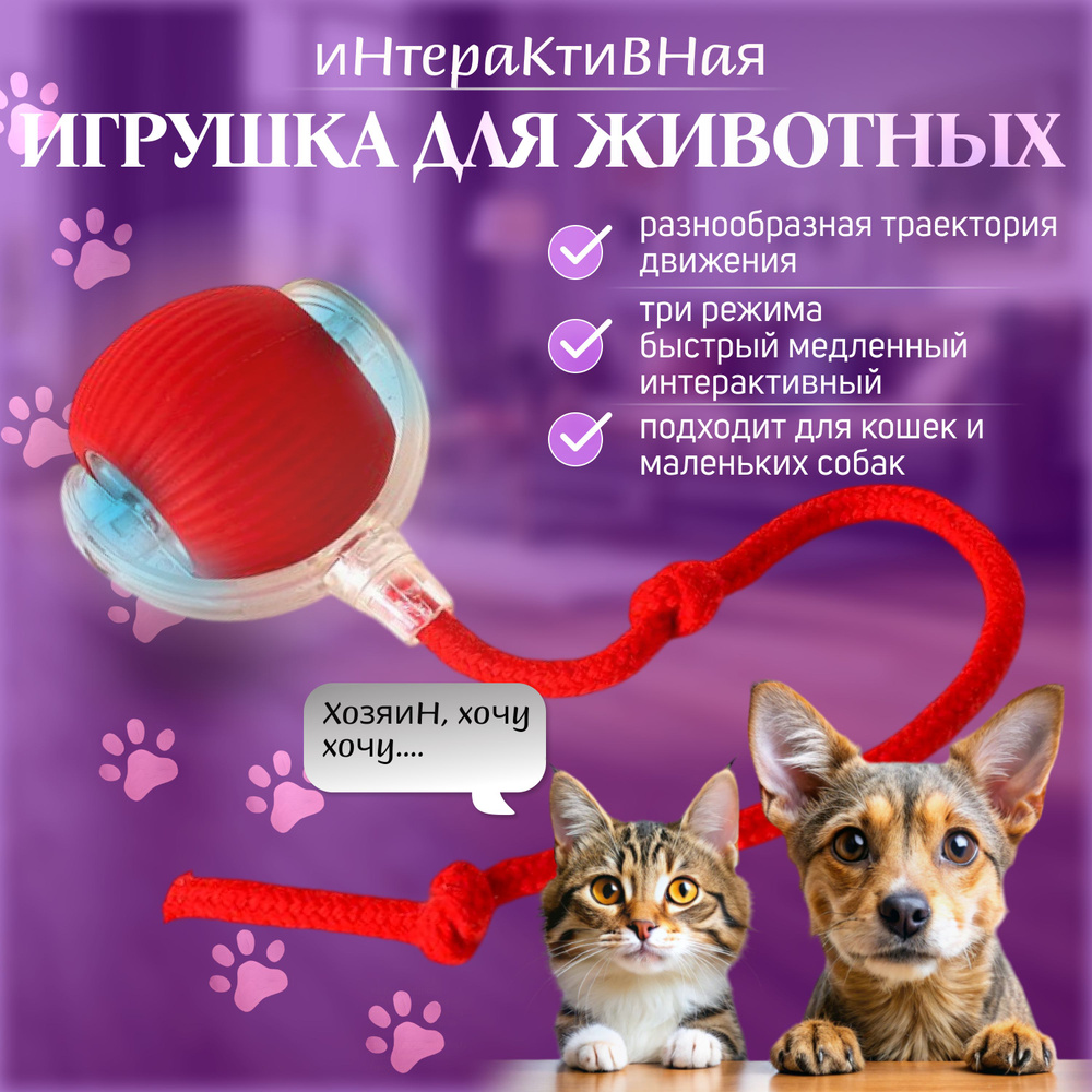 Игрушка для животных купить на OZON по низкой цене (1772225423)