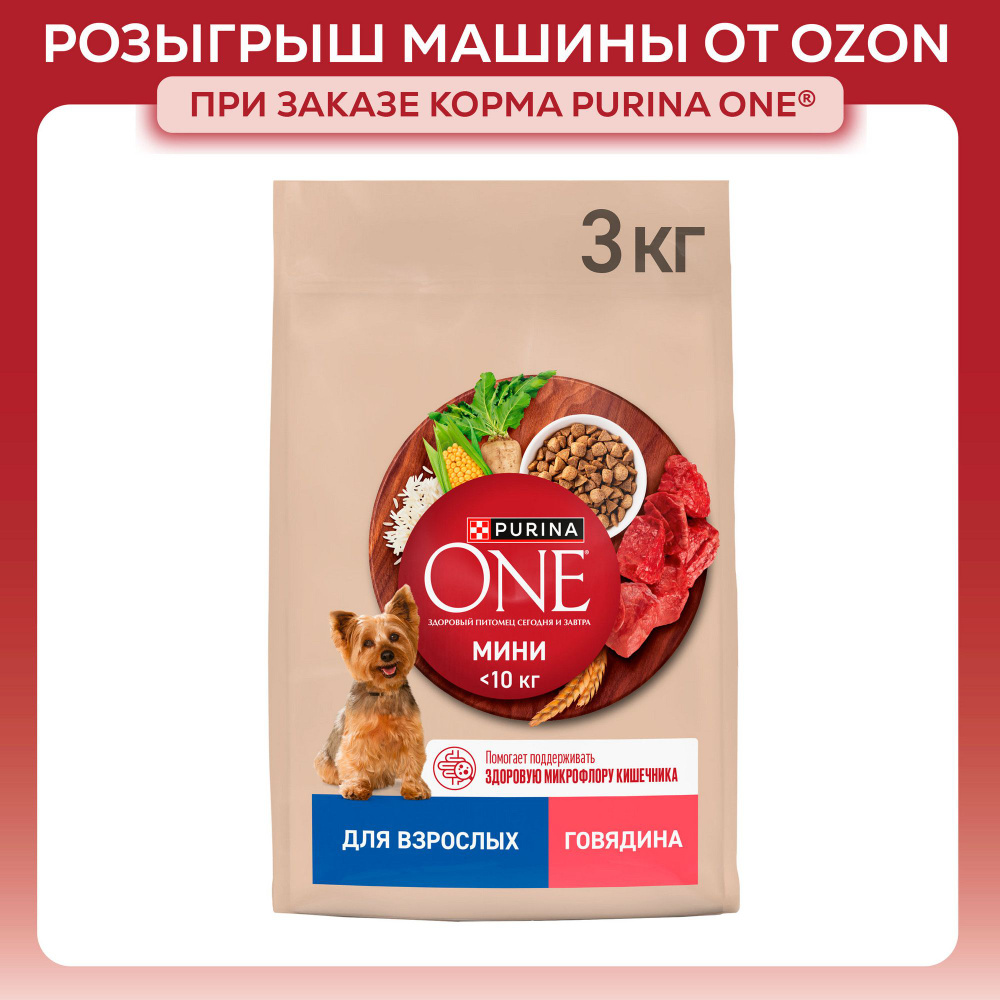 Сухой корм для собак PURINA ONE МИНИ для мелких и карликовых пород, с говядиной и рисом, 3 кг  #1