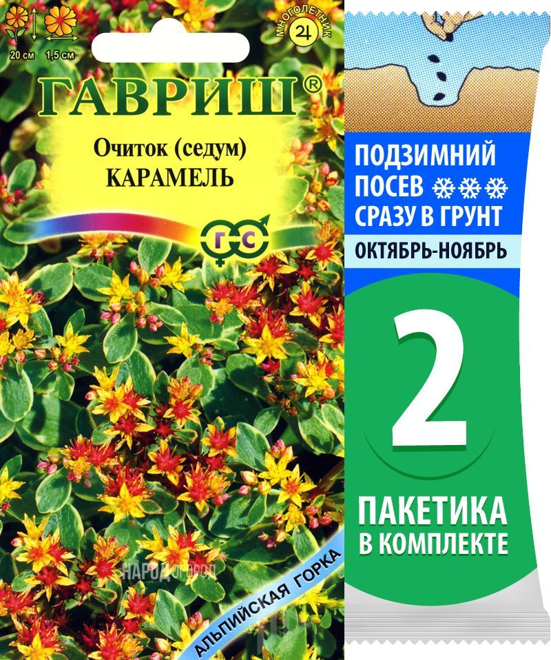 Семена Очиток седум Карамель, 2 пакетика по 0,01г/90шт #1