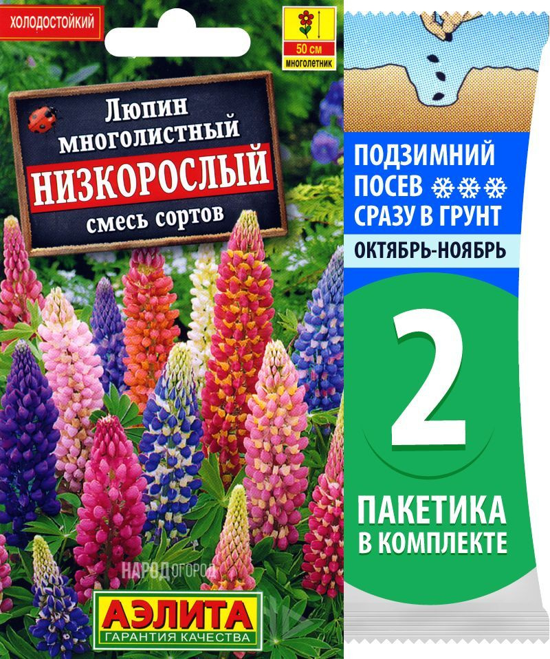 Семена Люпин многолетний Низкорослый смесь сортов, 2 пакетика по 0,5г/25шт  #1