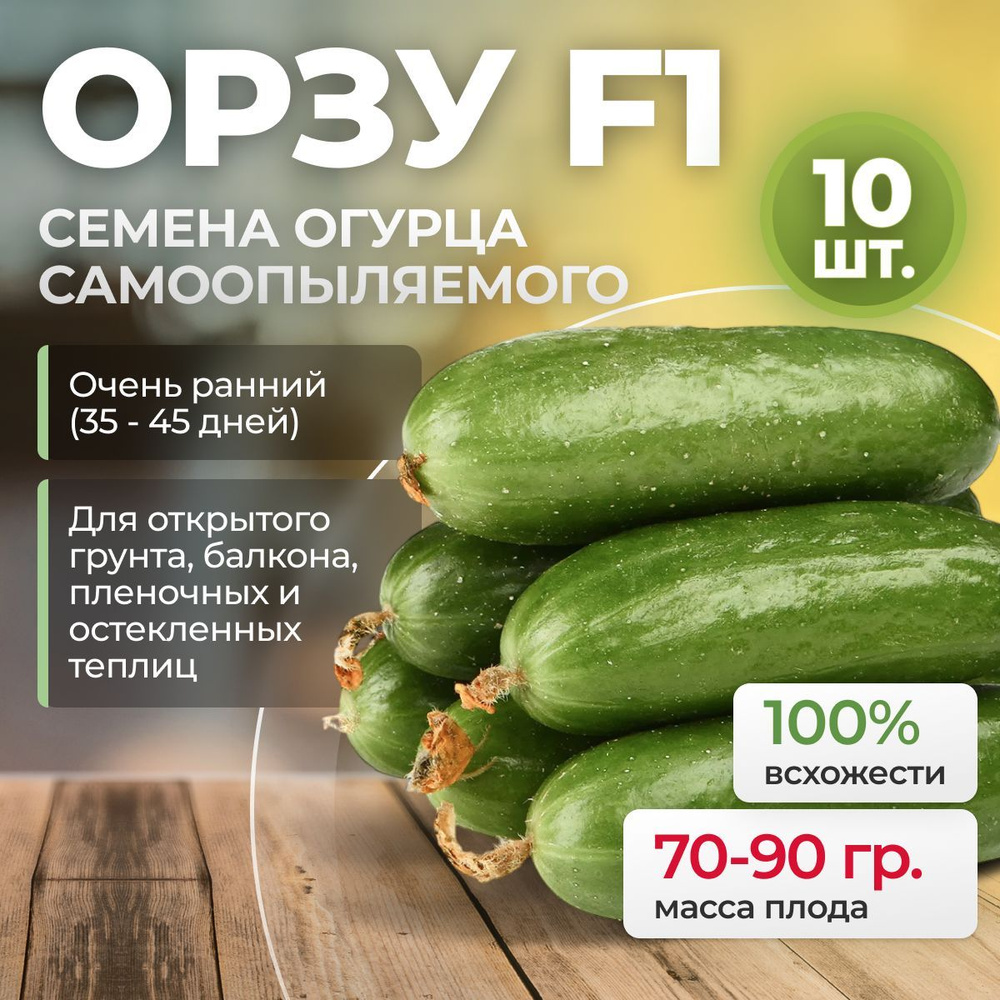 Орзу F1 семена огурца раннего, 10 шт. (Nunhems / ALEXAGRO). Высокоурожайный, корнишонный гибрид коктейльного #1